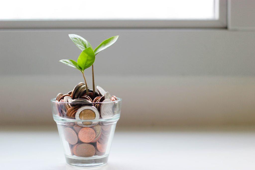 A cup filled with coins and a plant that grows out of it