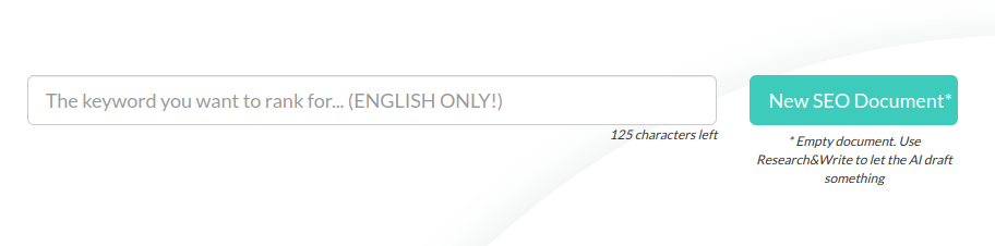 AI Writer SEO input view