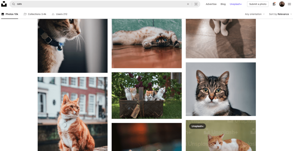 Images from unsplash picture bank