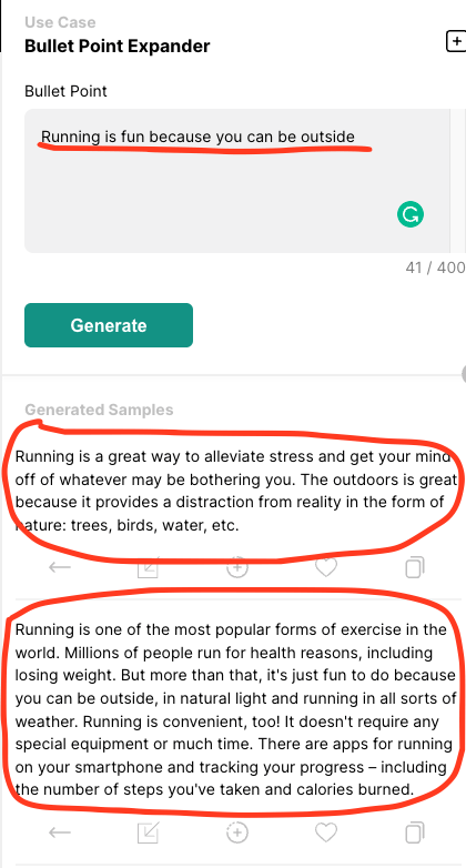 Example input to bullet point expander