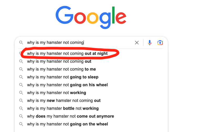 Google suggestions are great blog post topic candidates