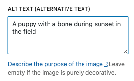 Alternative text example for an image in wordpress