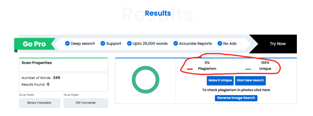 Plagiarism checker