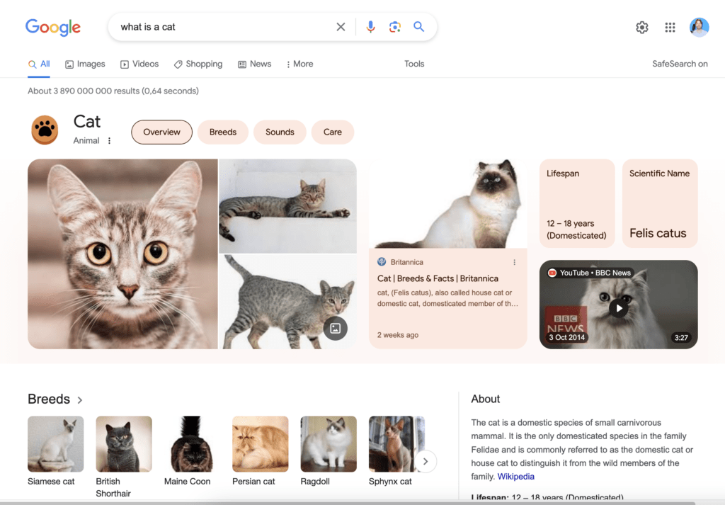 Cats in Google results
