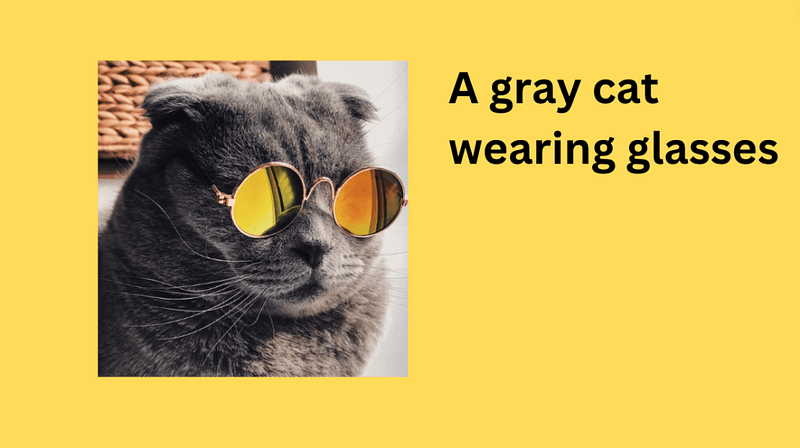 Alt text example of an image of a gray cat wearing glasses