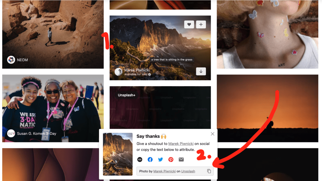Copying credits to images in Unsplash
