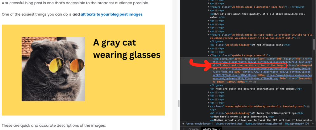 Checking the alt text of a blog post image with JS console