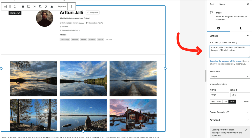 Artturi Jalli Unsplash profile with nature images