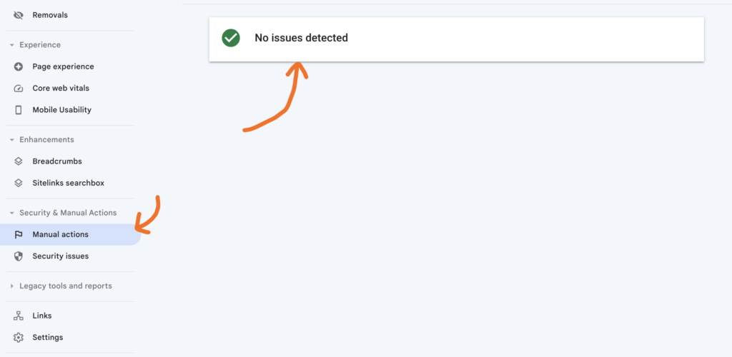 Google Search Console manual actions report shows no issues