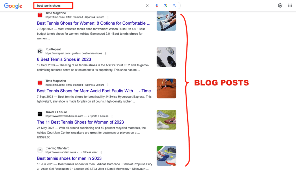 Blog posts in search results