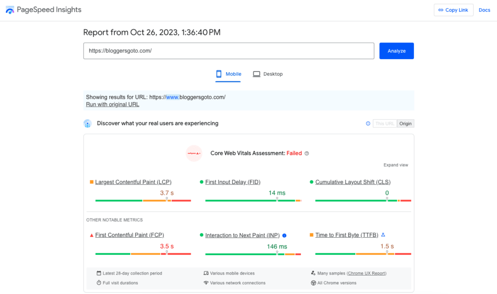 Google PageSpeed Report