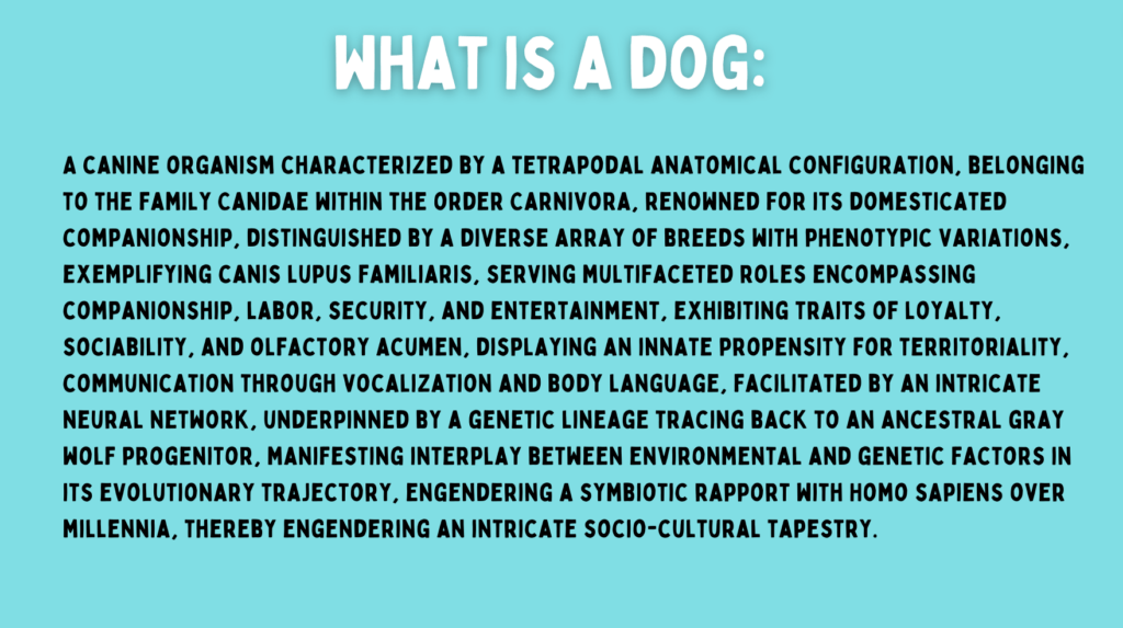 Explaining what is a dog in complex terms