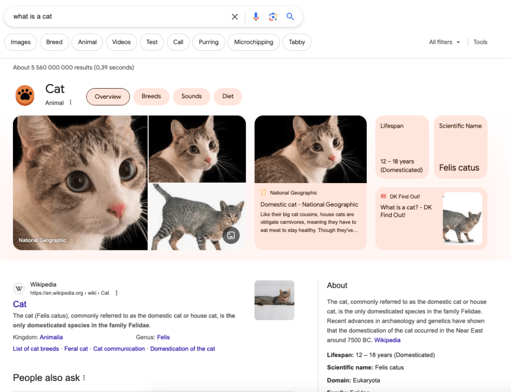 A search result for what is a cat